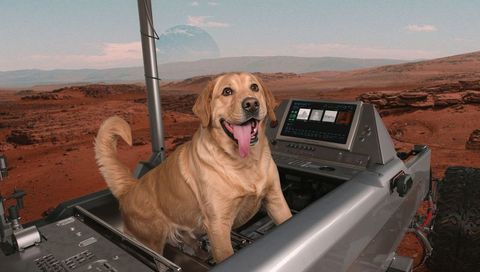Golden retriever rover co-pilot exploring mars landscape placing paws on control console