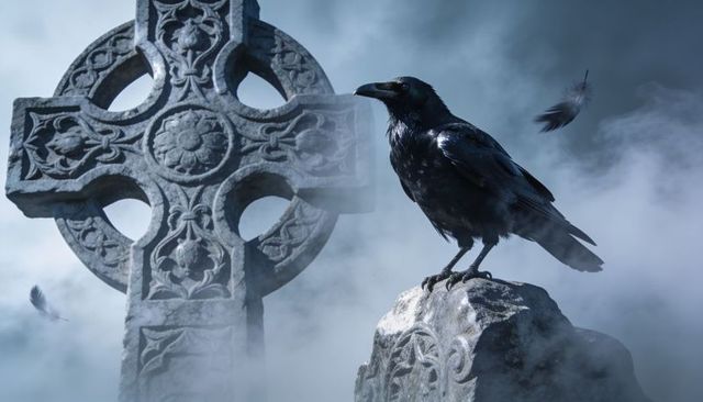 Raven perching on carved celtic cross in misty graveyard with drifting feathers