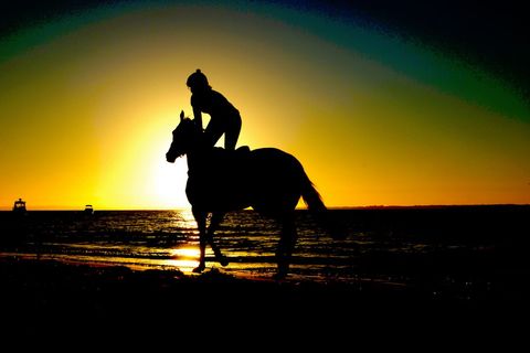 Silhouetted Horseback Rider on Beach at Sunset