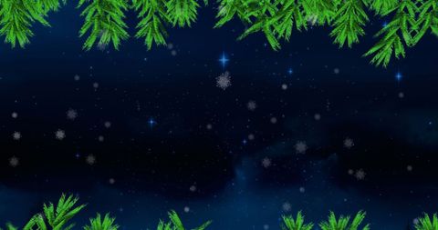 Christmas Tree Branches Framing Starry Night Sky with Falling Snow