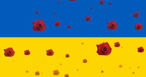 Red Roses Floating on Ukrainian Flag Background
