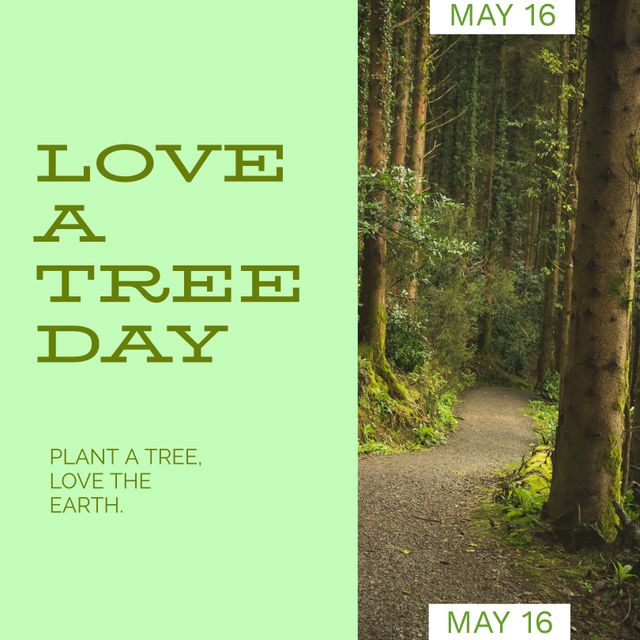 Composition of love a tree day text and forest on green background. Love a tree day, nature and forest concept digitally generated image.