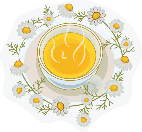 transparent chamomile tea with floral motif cup - Download Free Stock Videos Pikwizard.com