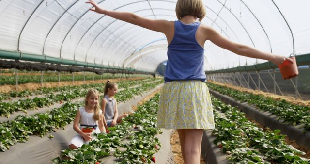 Image shows children enjoying strawberry picking inside a greenhouse. This image can be used for themes related to agriculture, gardening, outdoor activities, fresh produce, healthy living, family activities, and educational farming experiences. Perfect for websites, blogs, and magazines promoting agricultural tourism, sustainable farming, and family-friendly activities.