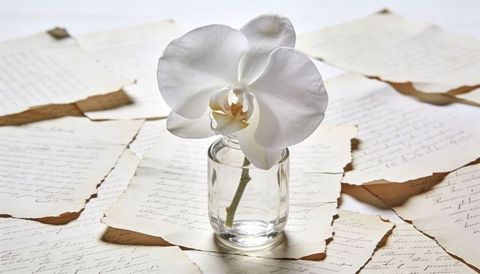White phalaenopsis orchid in glass jar on torn handwritten manuscripts elegant still life