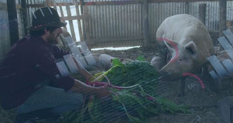 Innovative Farming: Data Processing in Pig Farming