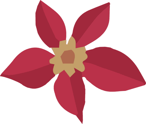 vibrant red five-petal flower on transparent background - Download Free Stock Videos Pikwizard.com
