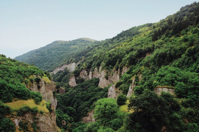 Majestic view of a lush green canyon with forested mountains in the background. Ideal for illustrating natural beauty, wilderness, hiking paths, and environmental projects.