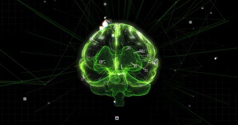 Glowing Green Digital Brain with Networks and Data Connections - Download Free Stock Images Pikwizard.com