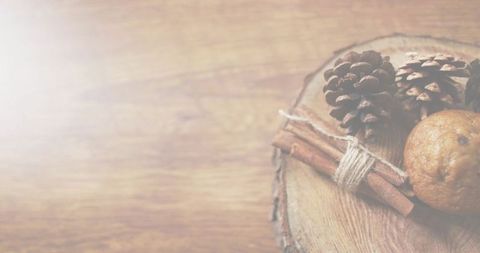 Rustic autumn vignette with pinecones, twine-tied cinnamon sticks and cookie on wood slice