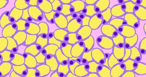 Vivid Microscopic Cells on Pink Background