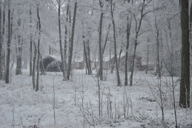 Secluded Winter Cabin in Snowy Forest - Download Free Stock Photos Pikwizard.com