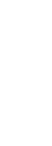 Standing Athlete Silhouette on Transparent Background