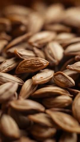 Macro vertical video focusing on seed kernels in shallow dish revealing textured brown shells