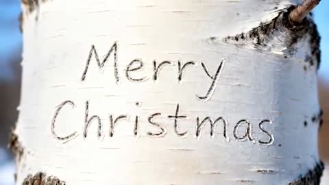 Slow camera moving closer revealing carved Merry Christmas on birch trunk in winter closeup