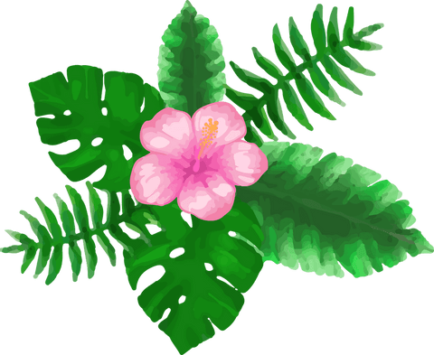Transparent Pink Hibiscus with Monstera and Fern Leaves Illustration