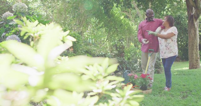 Happy Senior Couple Gardening Together in Beautiful Sunny Garden - Download Free Stock Images Pikwizard.com