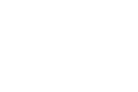 Silhouette Hands Holding Start Now Text on Transparent Background - Download Free Stock Videos Pikwizard.com