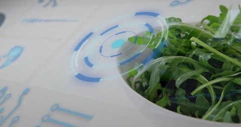 Growing arugula under smart hud for precision hydroponics and urban farm monitoring