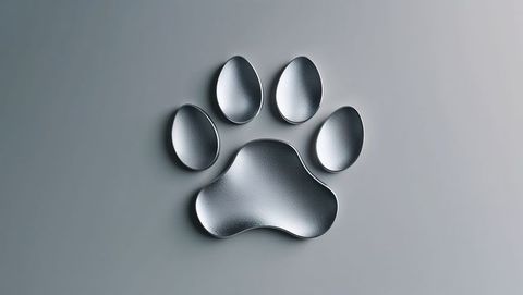 Silver metallic paw print emblem on matte gray background