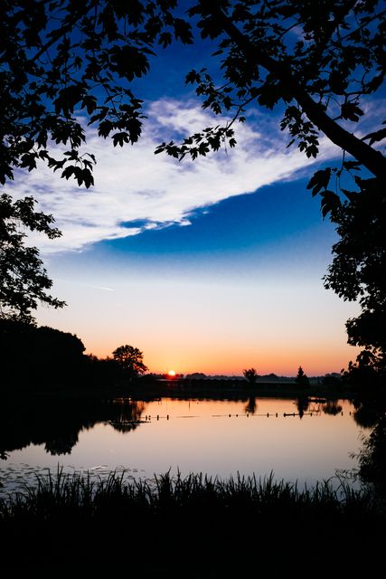 Serene Sunrise At Forest Lake With Silhouette Trees - Download Free Stock Photos Pikwizard.com
