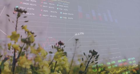 Botanical Financial Growth Overlay with Yellow Flowers