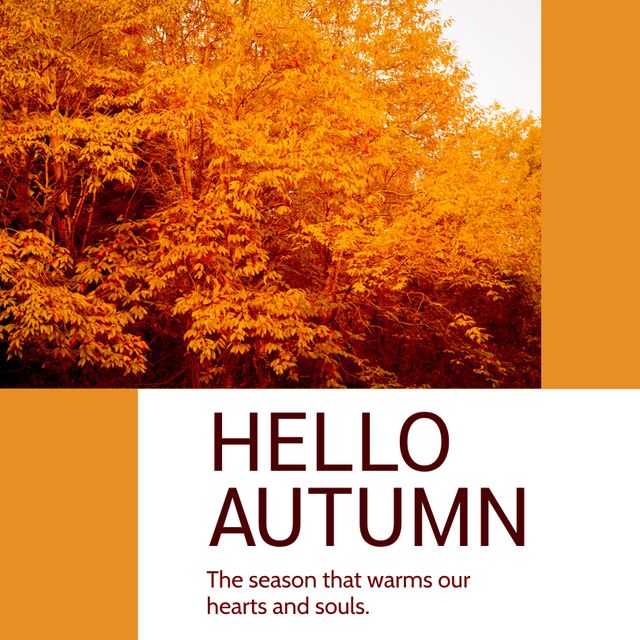 Welcoming Autumn with Vibrant Fall Foliage and Heartwarming Message - Download Free Stock Templates Pikwizard.com