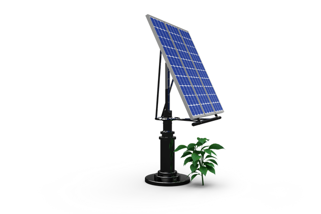 Transparent Solar Panel with Seedling Symbolizing Clean Energy - Download Free Stock Videos Pikwizard.com