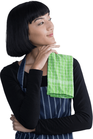 Biracial Woman with Apron and Towel on Transparent Background - Download Free Stock Videos Pikwizard.com