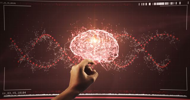 Person interacting with digital brain representation connected to neural network interface. Digital visualization highlights advanced AI concepts and technology innovations, illustrating connections between brain activity and data. Suitable for use in AI technology presentations, scientific research publications, tech blogs, and educational materials on neuroscience and artificial intelligence.