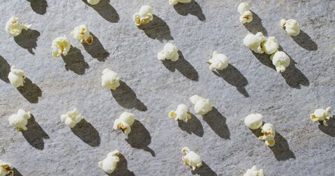 Popcorn scattered on gray surface with shadows