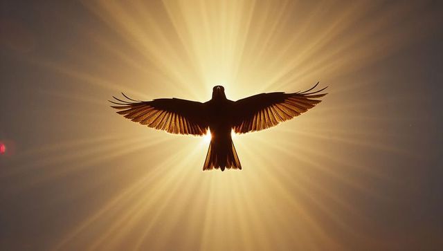 Silhouette of Bird Gliding Against Sunlit Sky at Sunrise