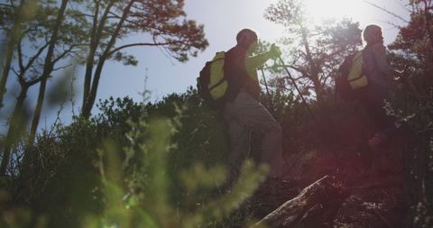 Active Senior Couple Hiking in Sunny Forest Vista - Download Free Stock Images Pikwizard.com
