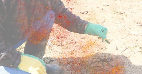 Gardener kneeling examining compost pile with gloves and stick in sunlit yard