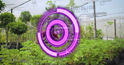 Hovering magenta AR circular HUD showing 49 over nursery greenhouse rows with saplings