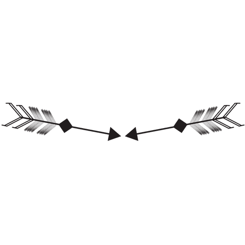 elegant black arrow border on transparent background - Download Free Stock Videos Pikwizard.com