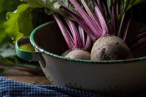 Rustic beetroots resting in vintage enamel colander with vibrant magenta stems