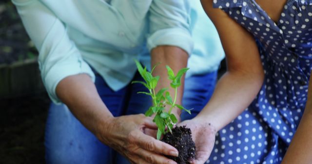 Two individuals are engaged in gardening, carefully holding a young plant with visible roots, with copy space. Their activity promotes sustainability and the importance of nurturing plant life.