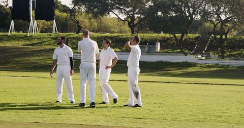 Amateur Cricket Team Discussing Strategy on Sunlit Field