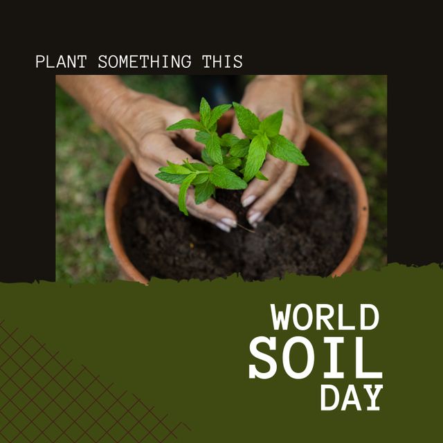 Hands carefully planting seedling in pot, promoting World Soil Day awareness. Perfect for environmental campaigns, sustainable gardening events, educational materials, or social media posts encouraging eco-friendly practices and promoting the importance of soil conservation.