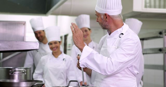 Experienced Chef Leading Team in Professional Kitchen - Download Free Stock Images Pikwizard.com