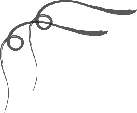 Hand drawn abstract outline on transparent background