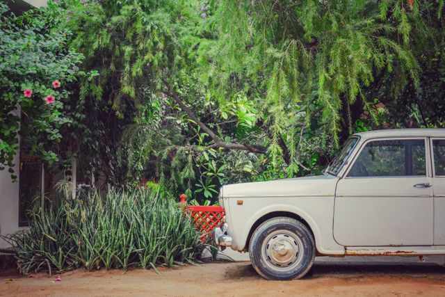 Vintage car seen parked surrounded by lush foliage. Ideal for themes about nostalgia, classic vehicles, retro aesthetics, environmental settings, travel, and nature-inspired automotive advertisements.