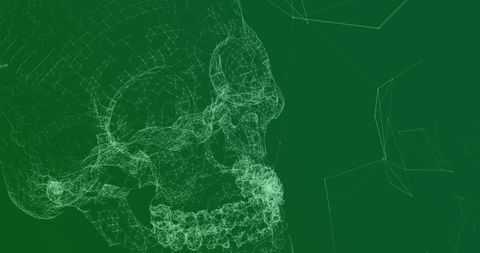 Digital Green Skull With Geometric Network Connections - Download Free Stock Images Pikwizard.com