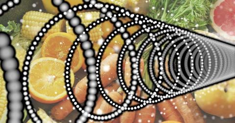 Dotted spiral overlaying vibrant citrus and fresh produce flatlay with graphic rings