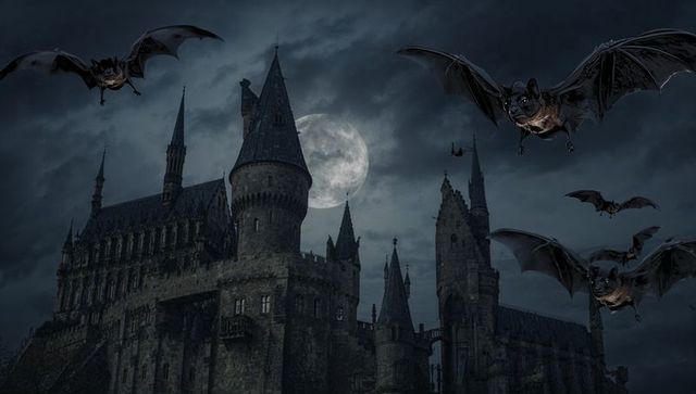 Gothic castle with bats and full moon at night