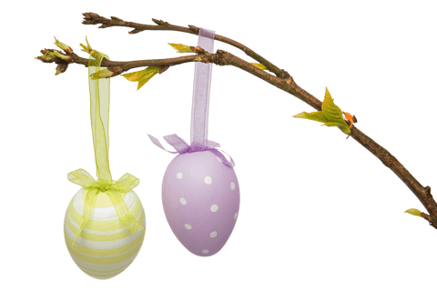 easter eggs hanging on branch transparent decoration - Download Free Stock Videos Pikwizard.com