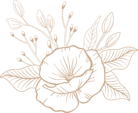 botanical flower lineart on transparent background - Download Free Stock Videos Pikwizard.com