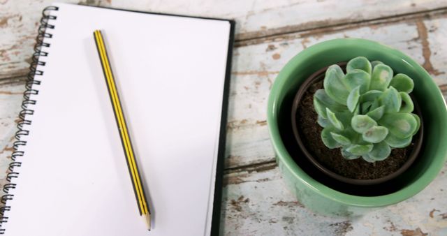 A blank notebook with a pencil lies next to a potted succulent on a rustic wooden surface, with copy space. Ideal for conveying concepts of planning, growth, and creativity in a natural and serene setting.