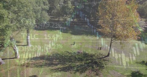 Financial Data Projection Overlaying Scenic Park View